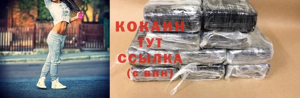 прущие грибы Арсеньев