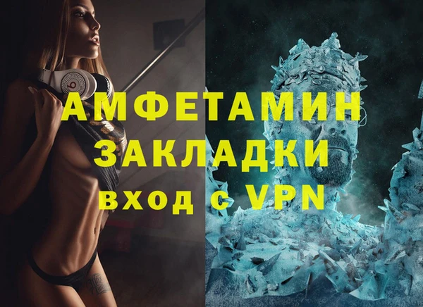стаф Аркадак