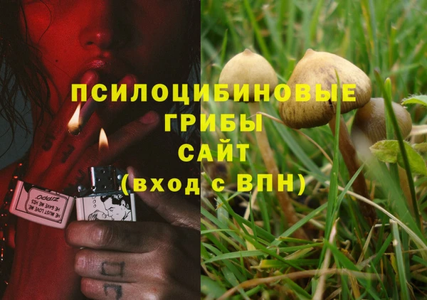 прущие грибы Арсеньев