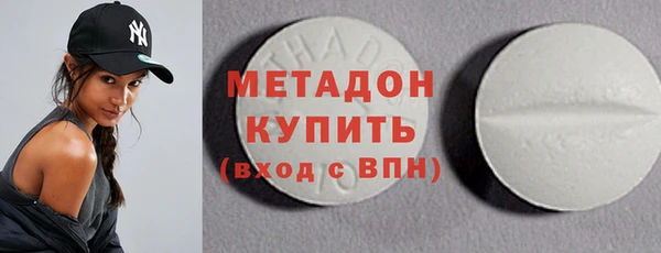 стаф Аркадак