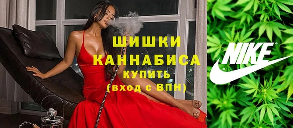 стаф Аркадак