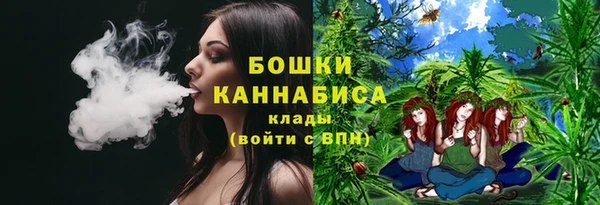 стаф Аркадак