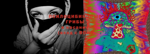 стаф Аркадак