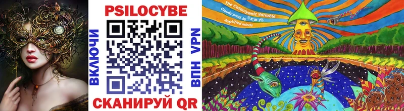 где купить   Афипский  маркетплейс формула  Псилоцибиновые грибы Psilocybe 